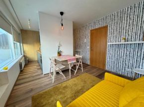 Bright & Cozy Central Studio